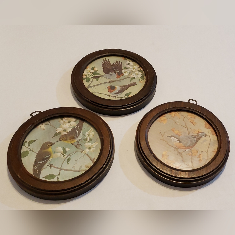 Round wood framed bird prints. Set of 3